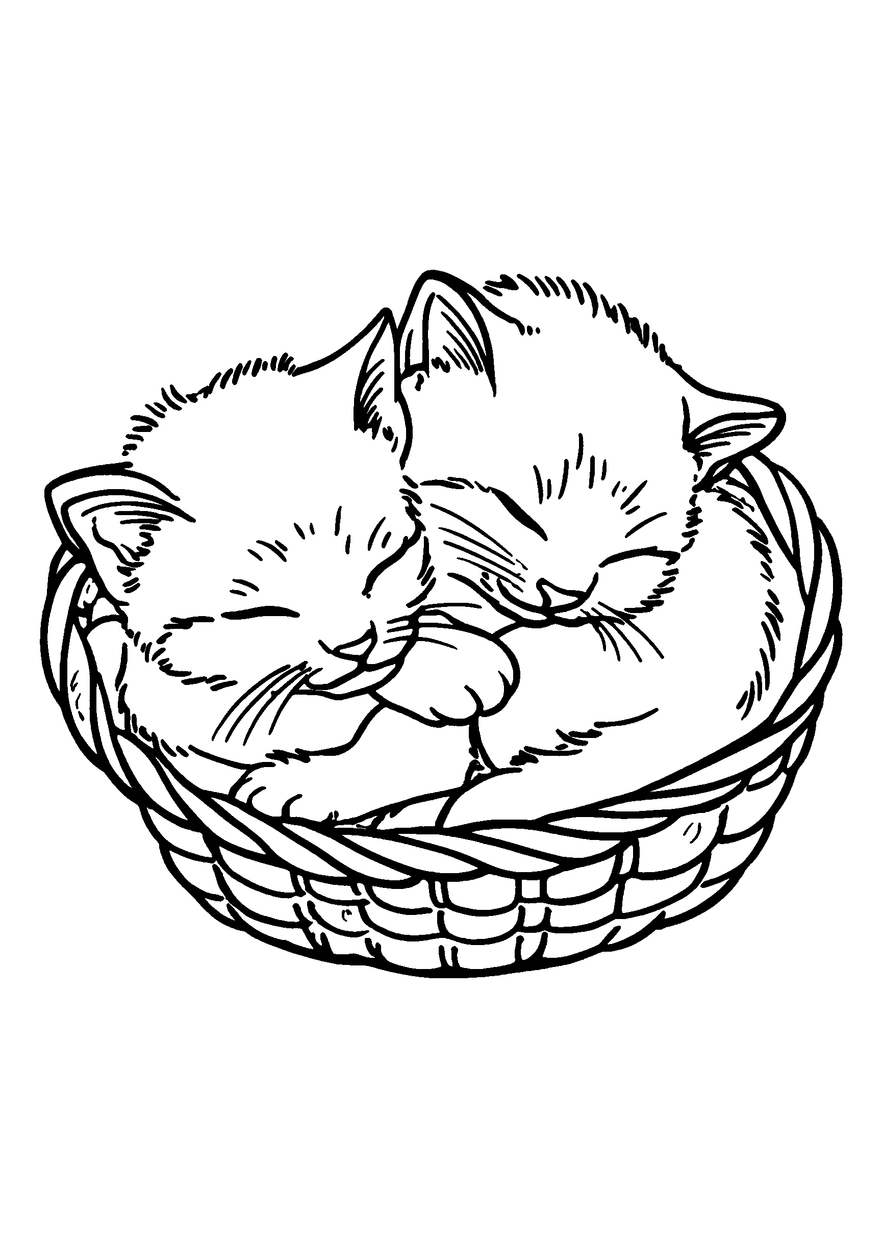 Ausmalbild Pair of Kittens Curled Up Together in a Cozy Basket