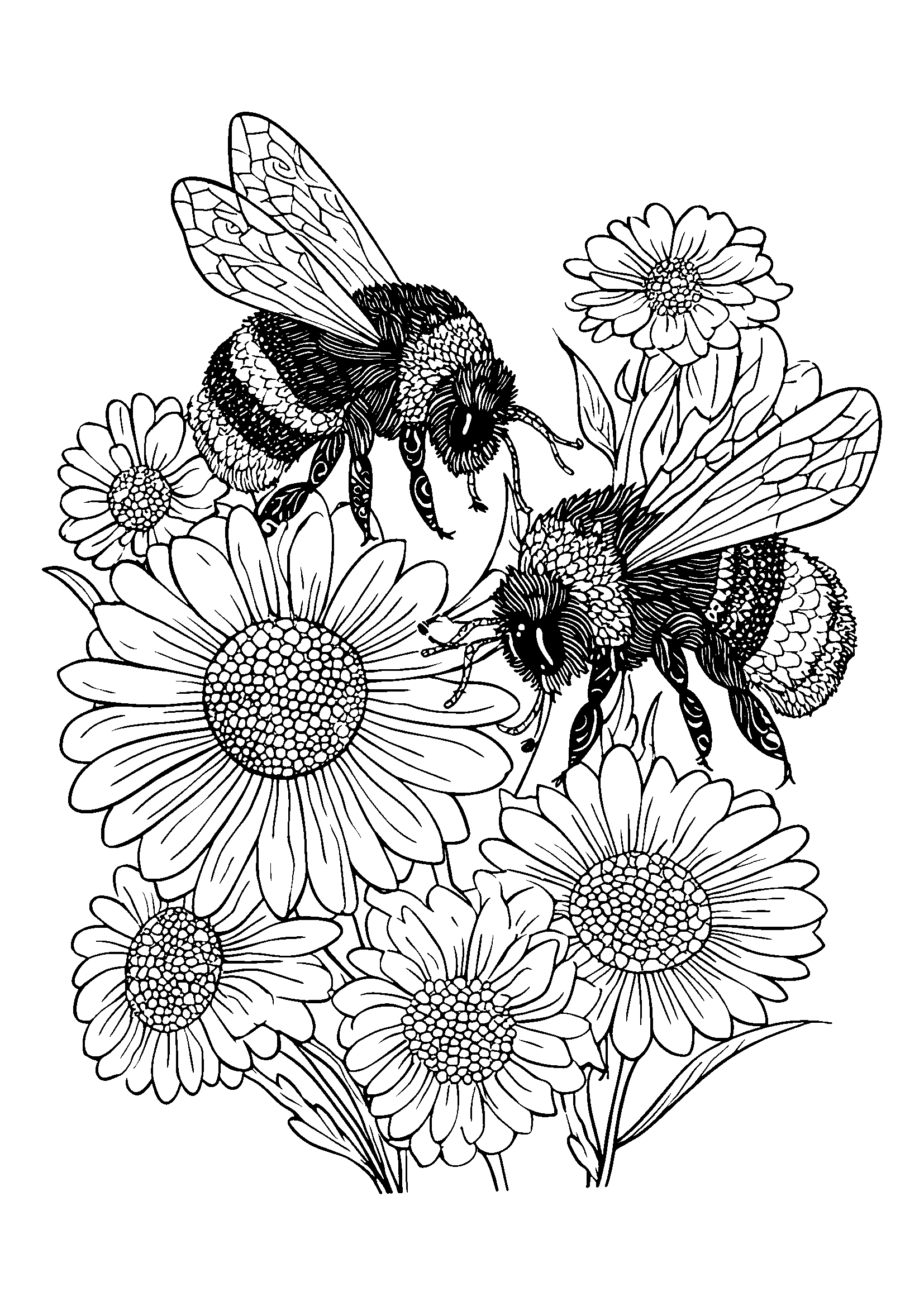 Ausmalbild Bumblebees Buzzing Around a Cluster of Daisies