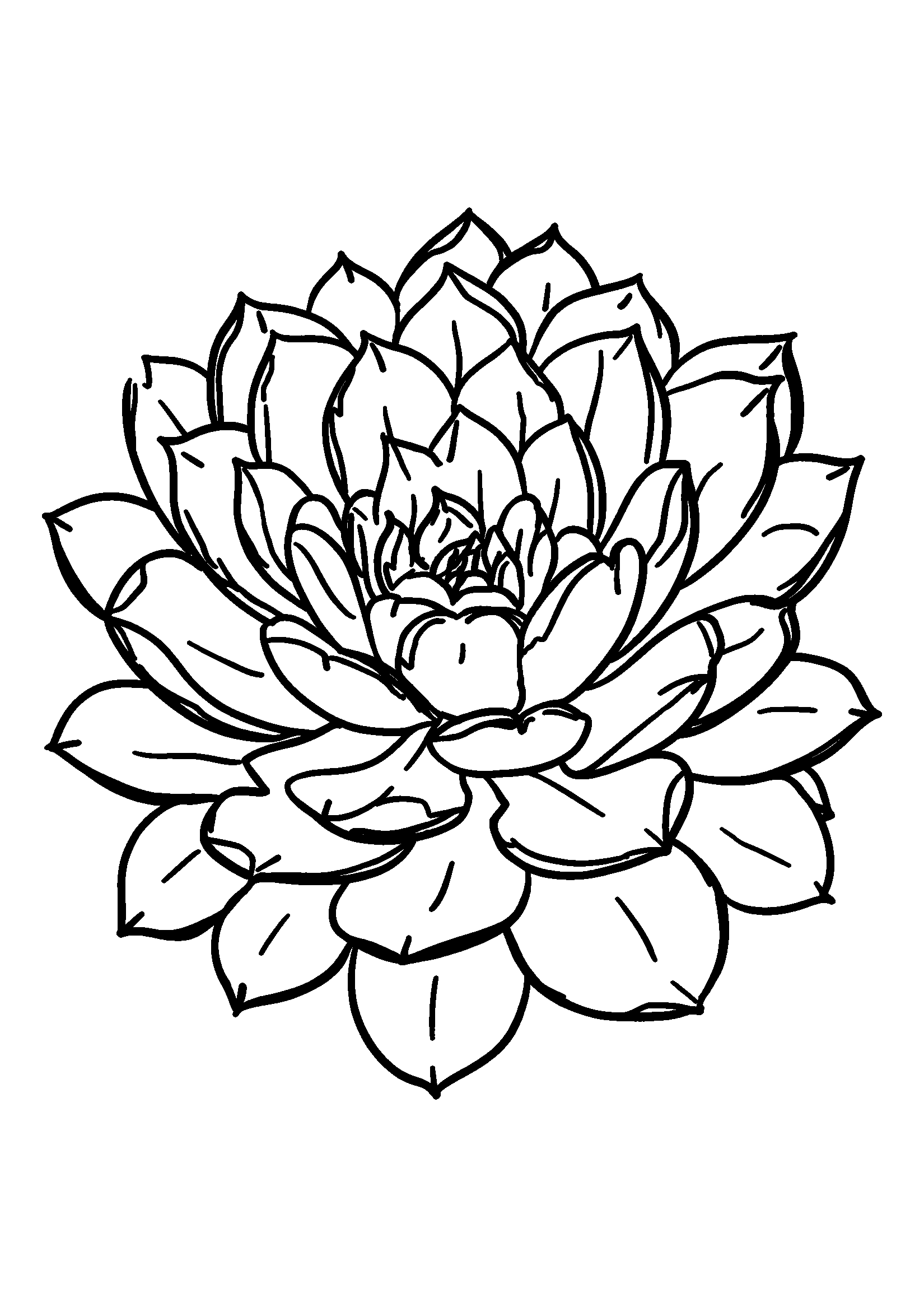 Ausmalbild Detailed Sketch of a Cactus in Full Bloom
