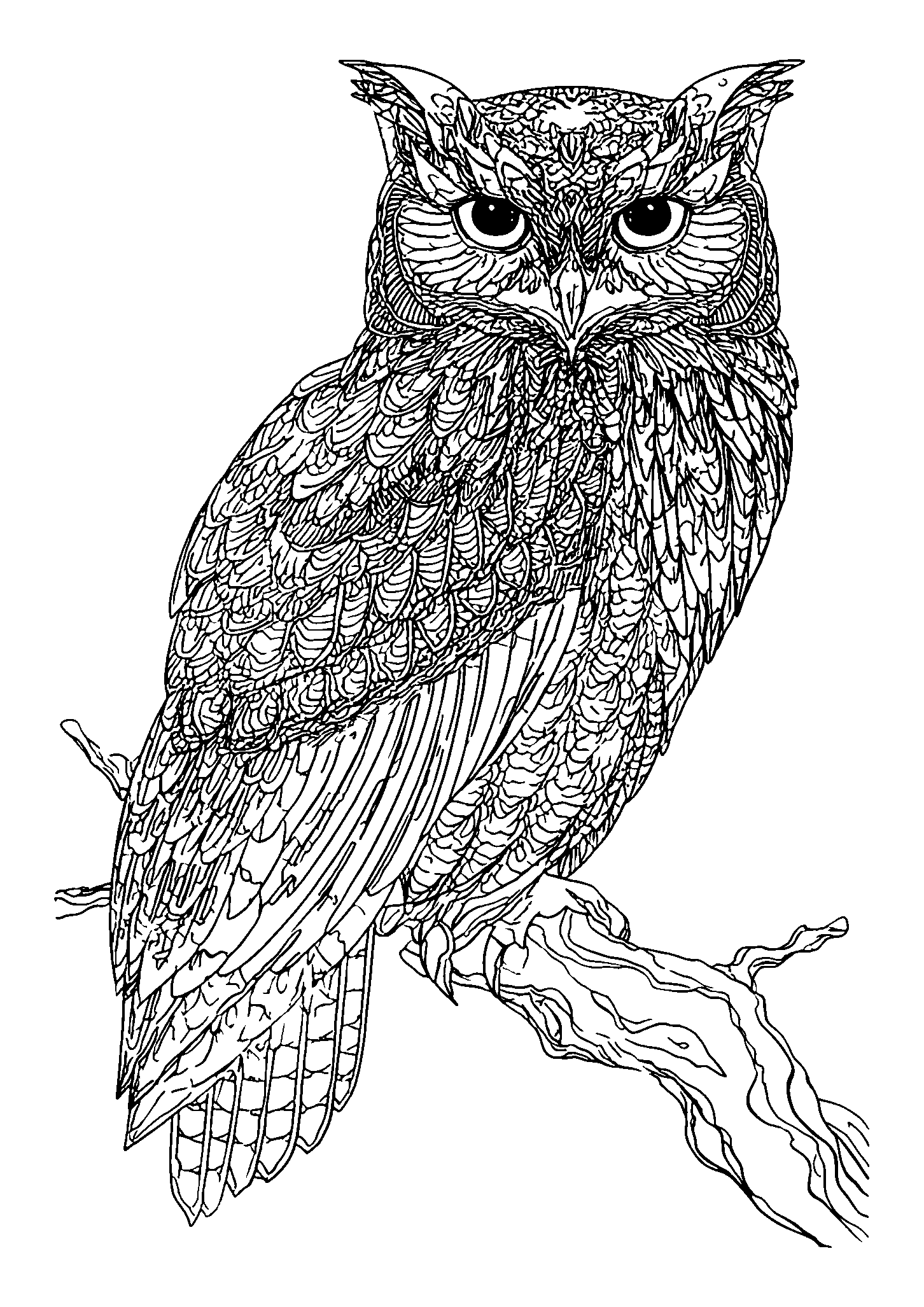Ausmalbild Lone Owl Perched on a Twisted Branch