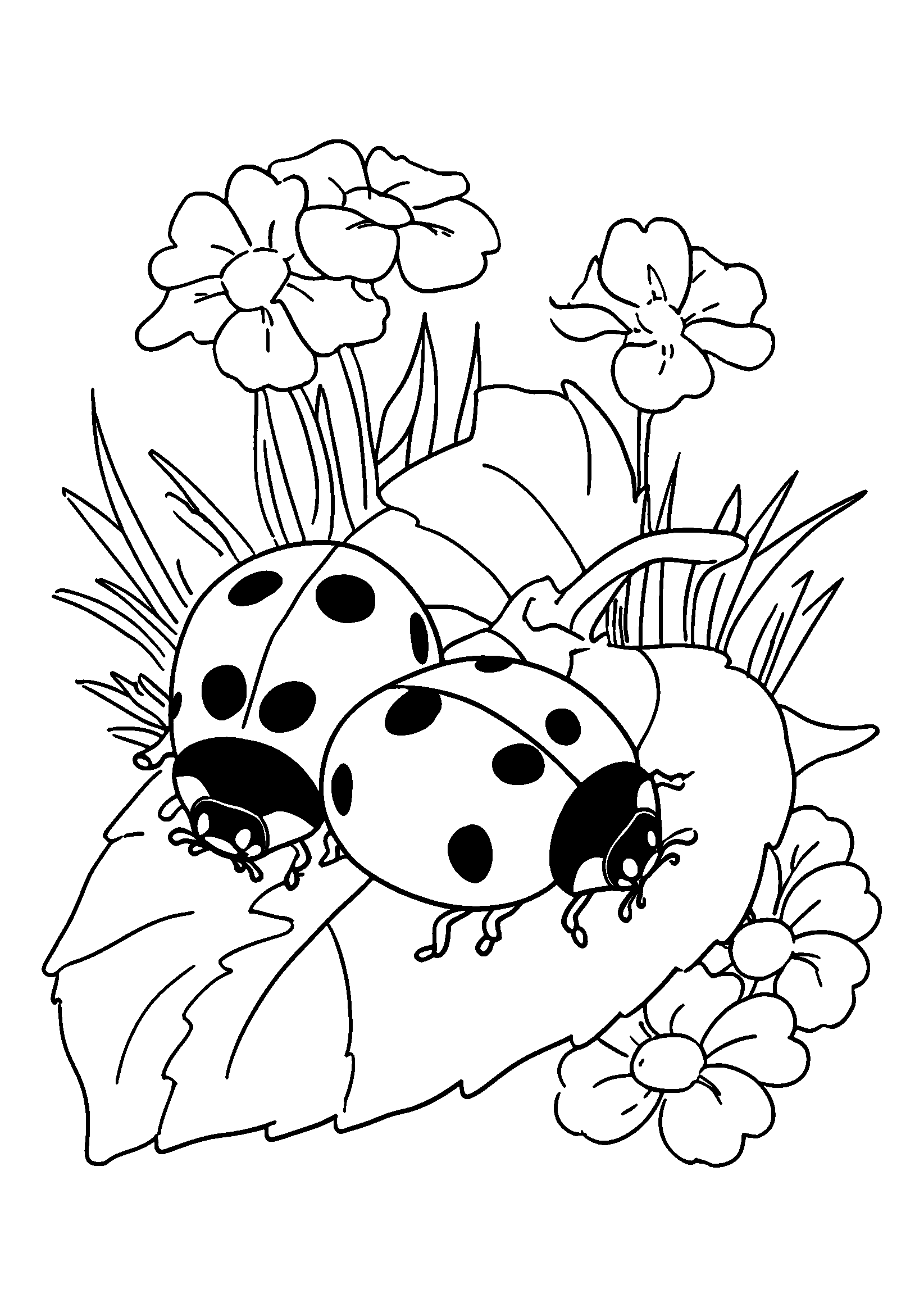 Ausmalbild Ladybugs Crawling on a Green Leaf Among Flowers