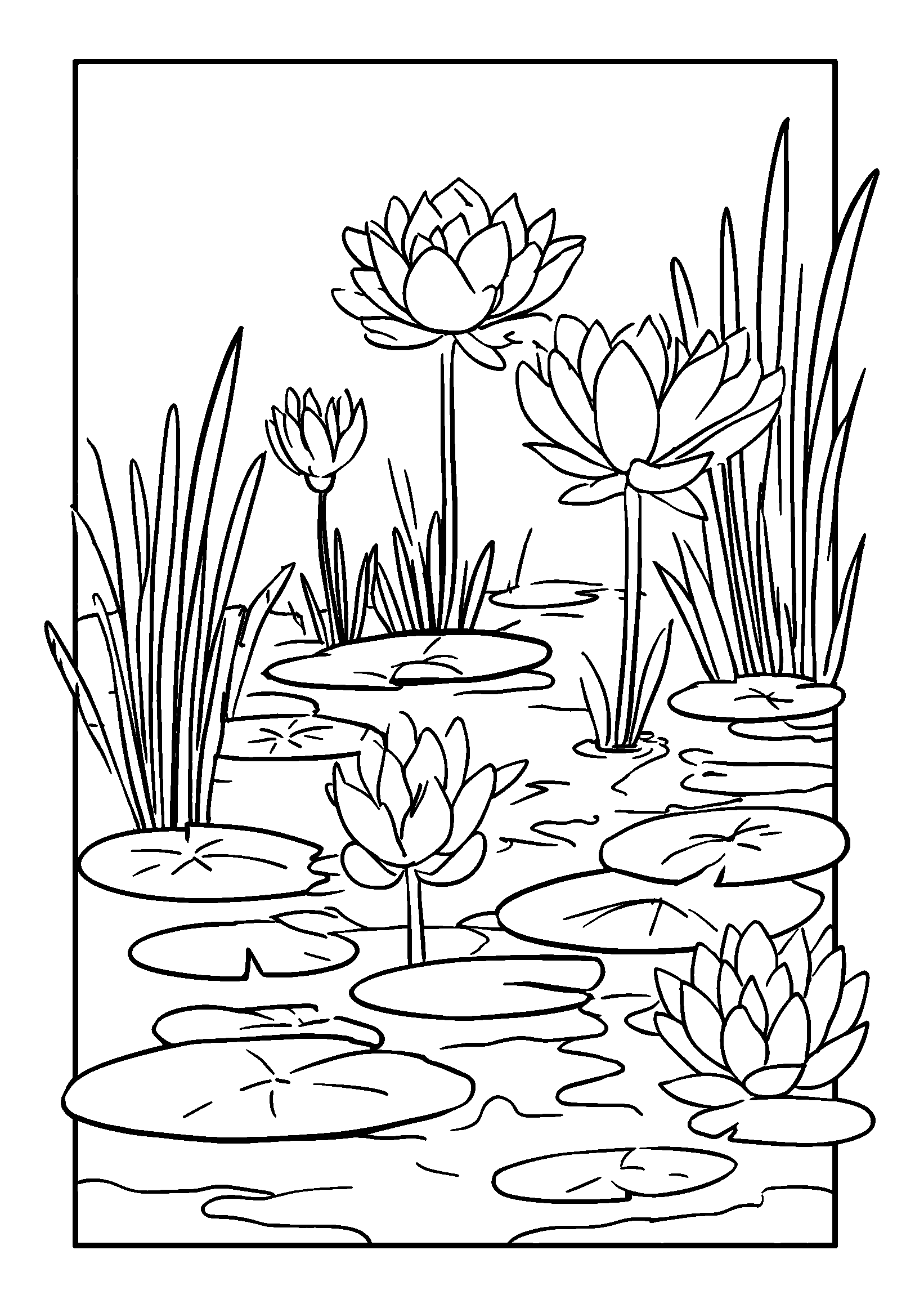 Ausmalbild Tranquil Pond Surrounded by Water Lilies and Reeds