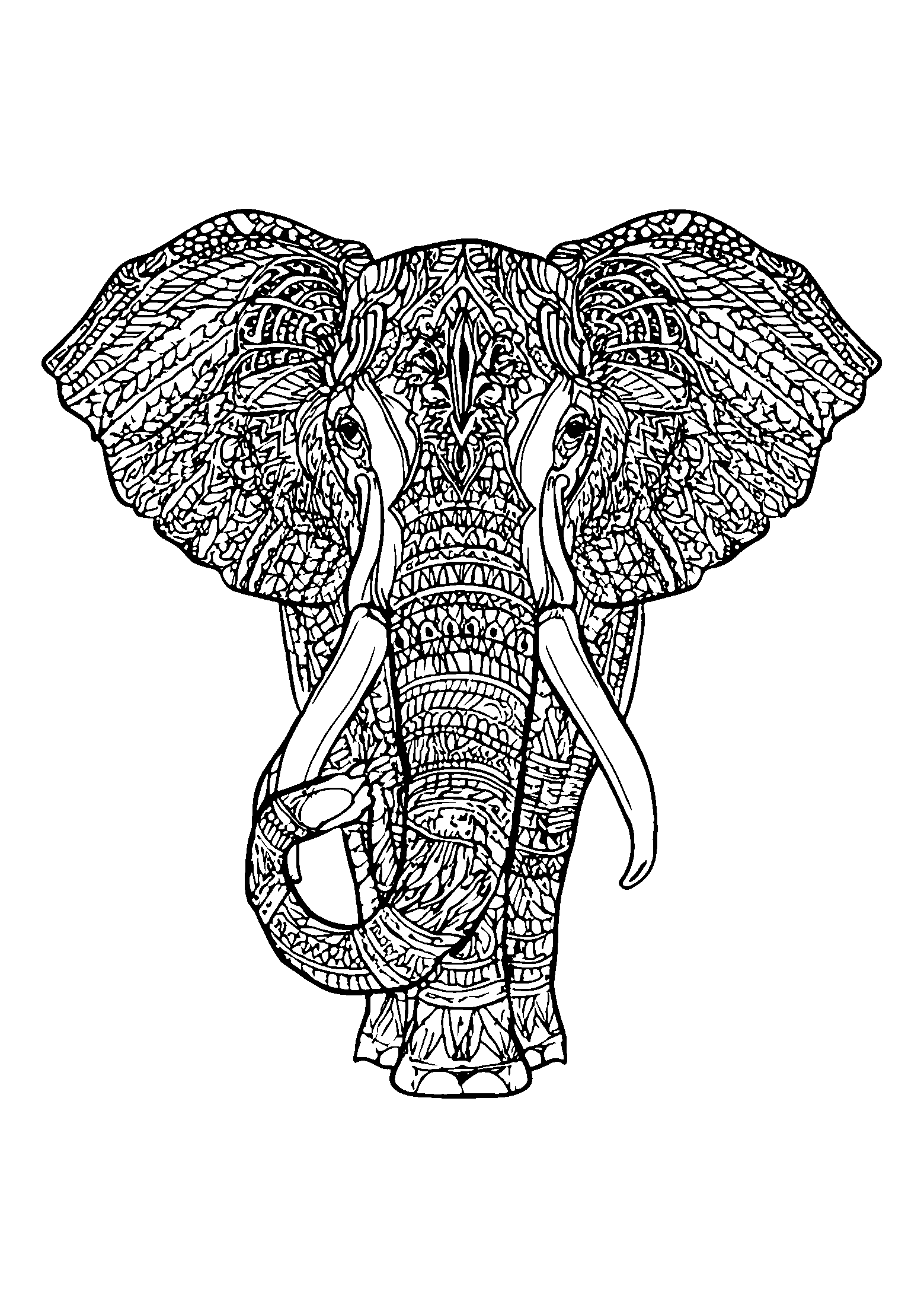 Ausmalbild Cheerful Elephant Spraying Water from its Trunk