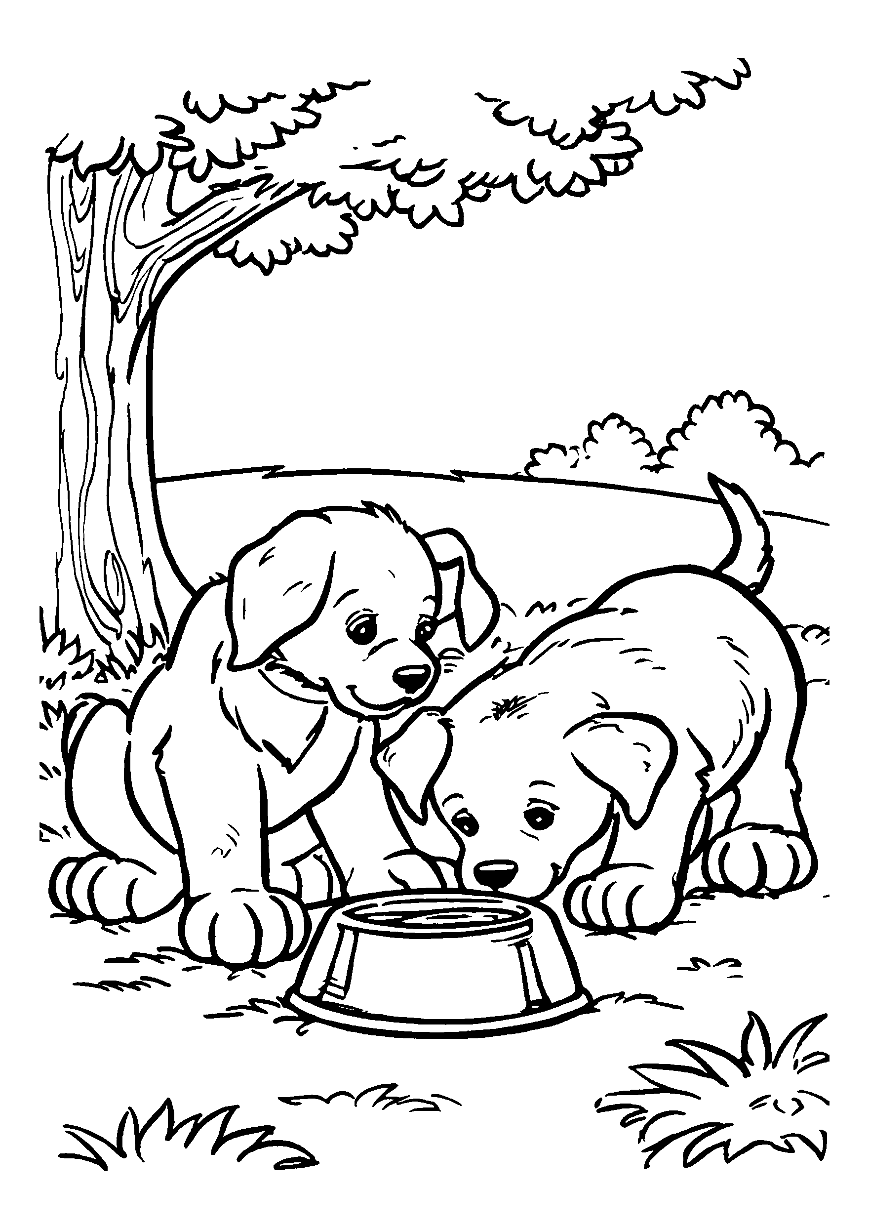 Ausmalbild Cats Sharing a Bowl of Milk on a Table