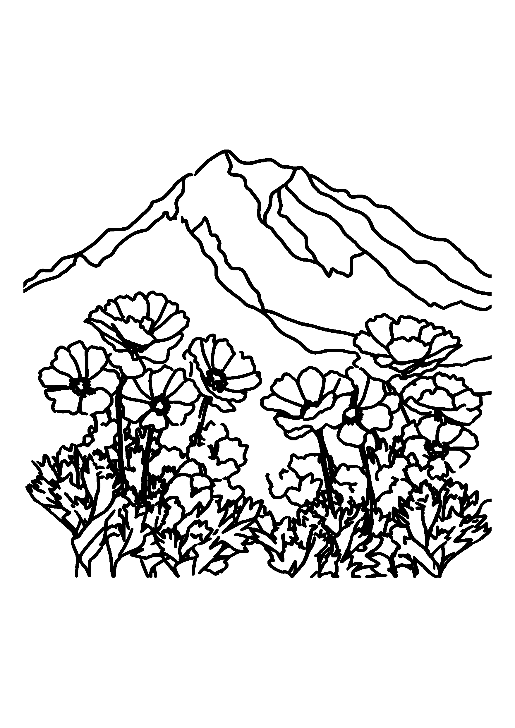Ausmalbild Scenic View of a Mountain Covered with Blooming Wildflowers