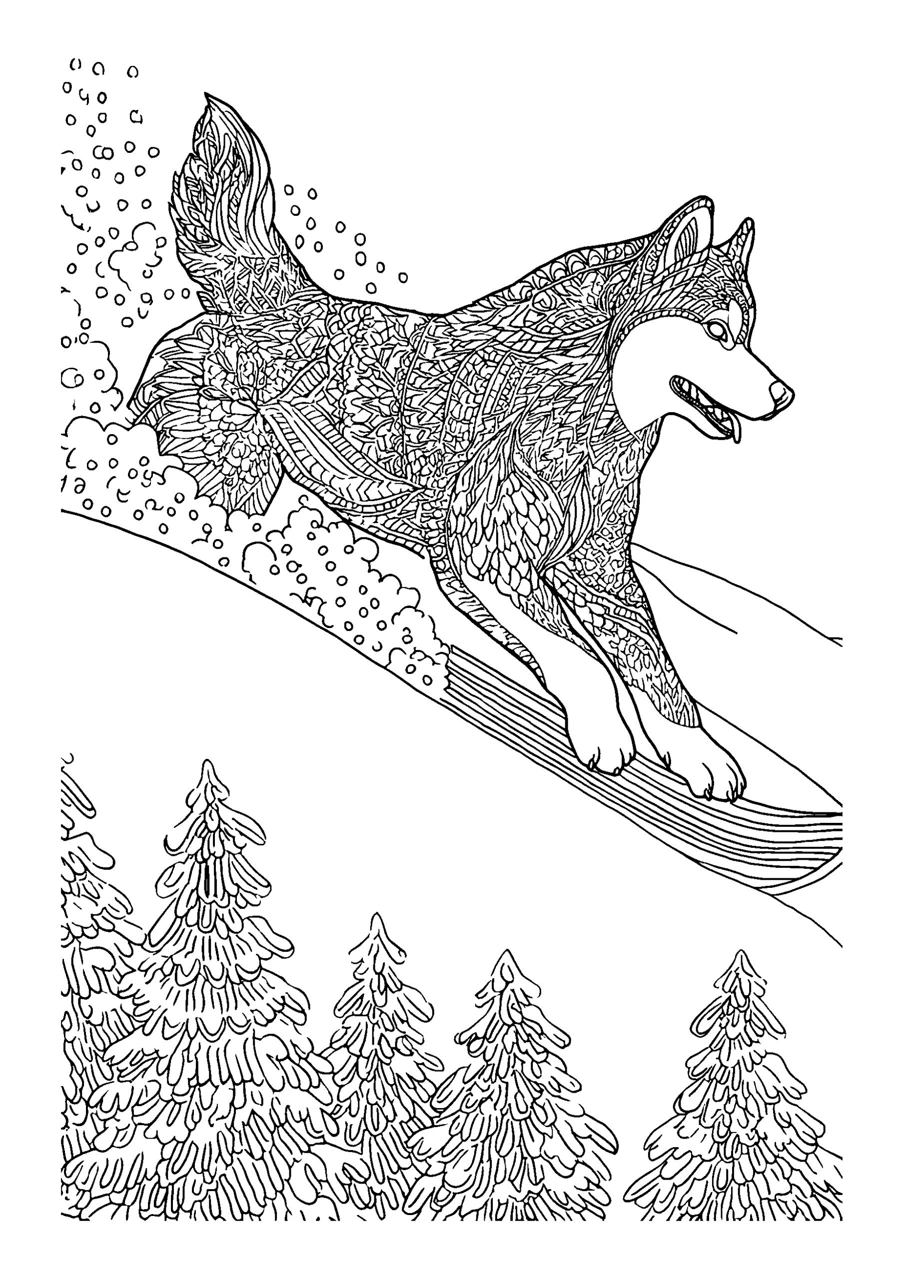 Ausmalbild Malamute Sledding Down a Snowy Hill