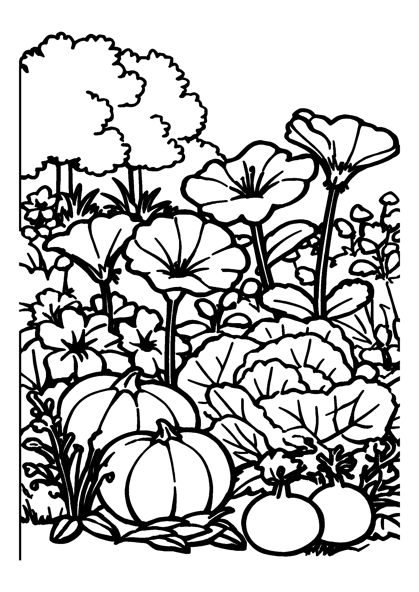 Ausmalbild Well-tended Vegetable Garden with Colorful Blossoms in Between