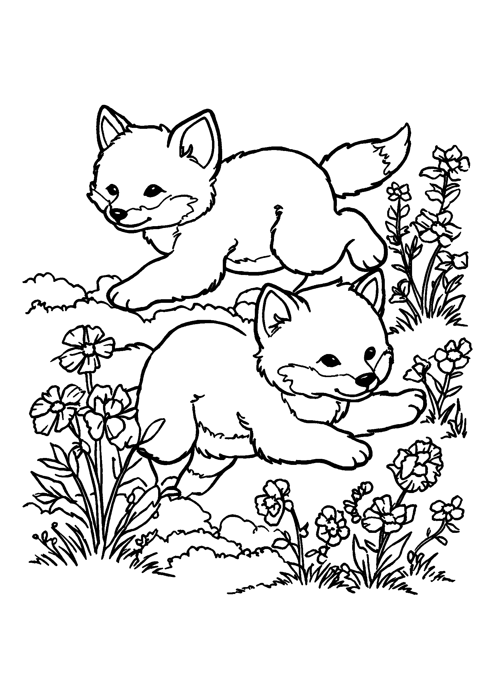 Ausmalbild Foxes Frolicking in a Field of Wildflowers at Dusk