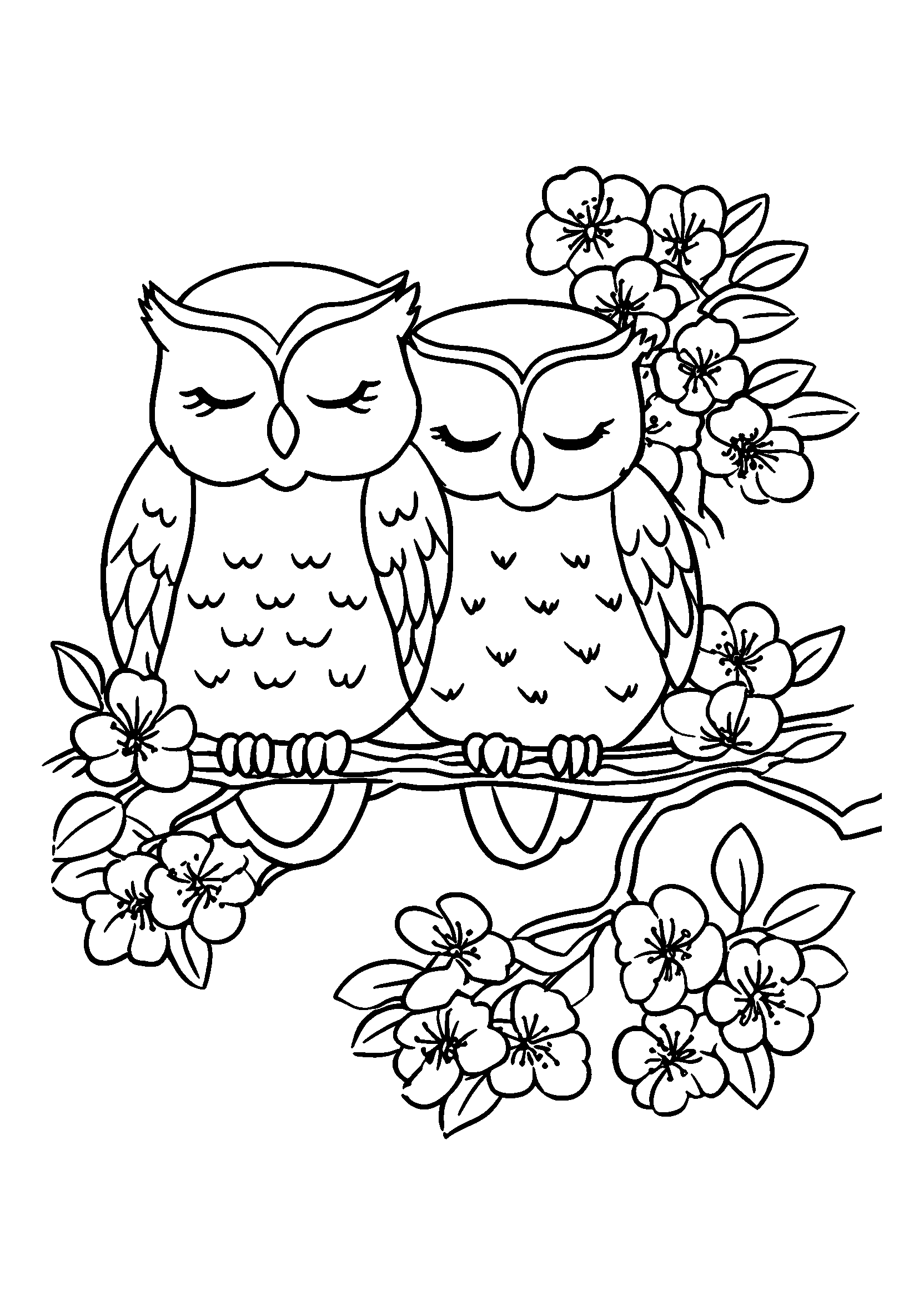 Ausmalbild Owls Resting Side by Side on a Flowering Branch